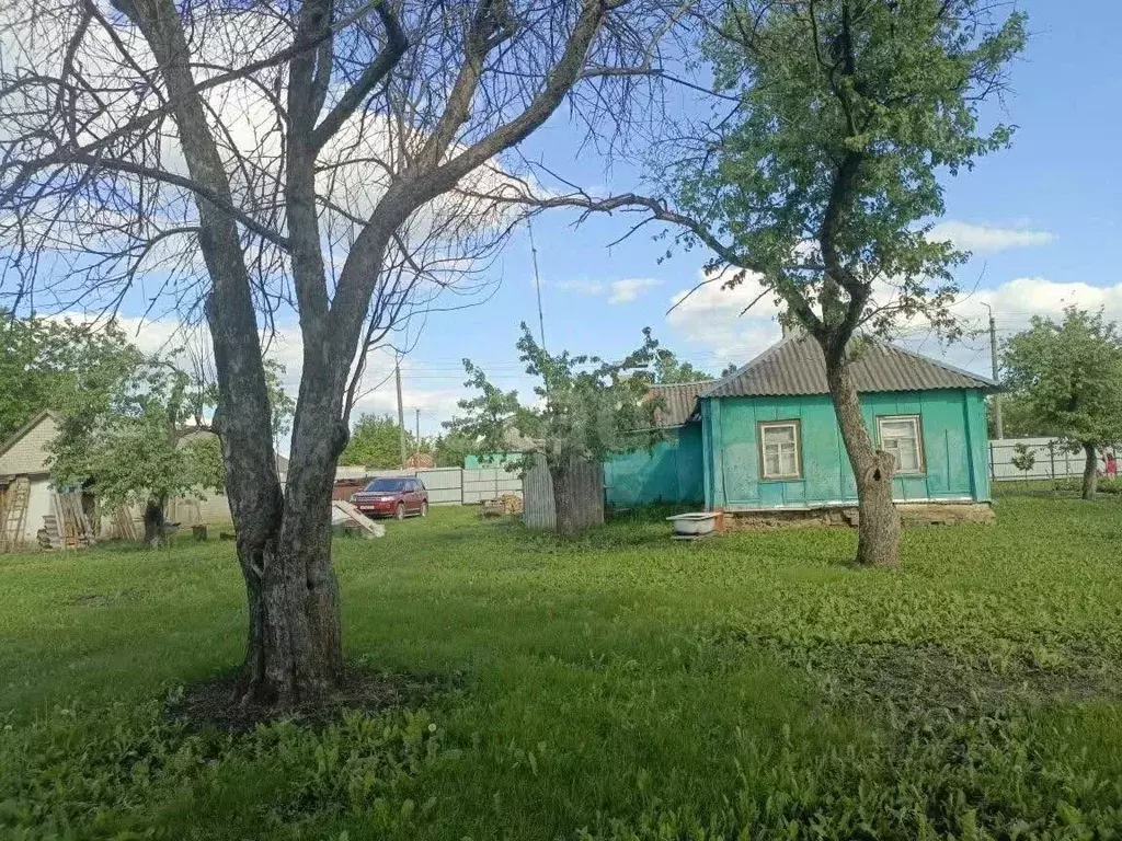 Дом в Белгородская область, Ивнянский район, с. Верхопенье Центральная ... - Фото 2