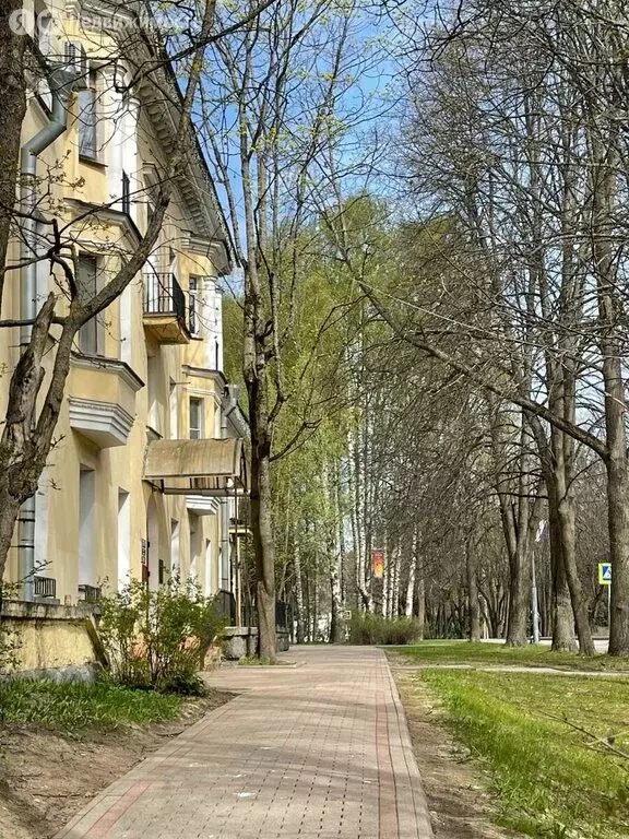 2-комнатная квартира: Санкт-Петербург, территория Ольгино, проспект ... - Фото 1