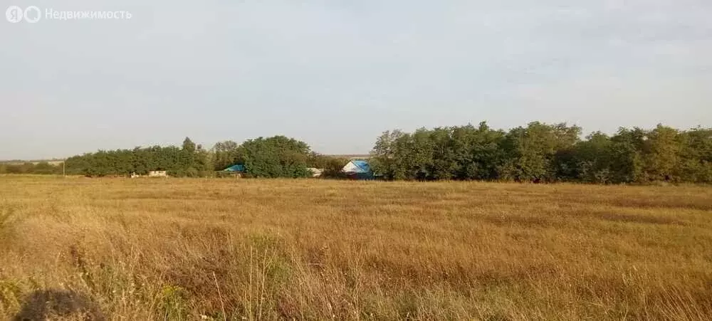 Участок в Краснодарский край, муниципальный округ Анапа, хутор Уташ, ... - Фото 1