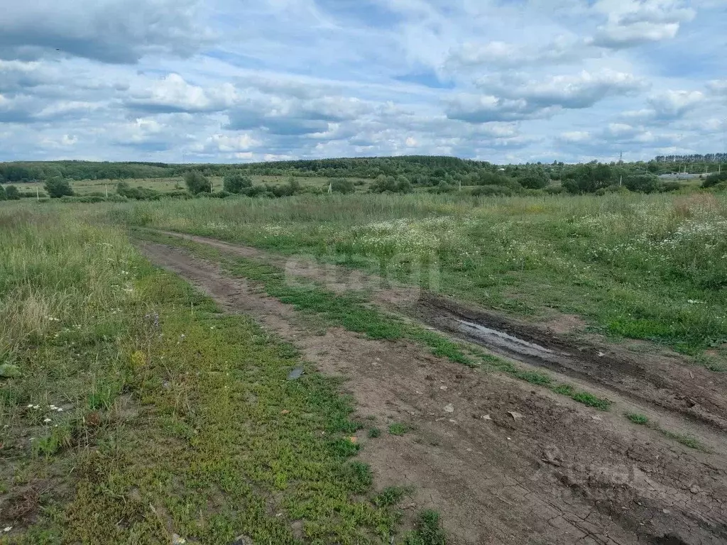 Участок в Мордовия, Лямбирский район, с. Берсеневка  (11.2 сот.) - Фото 1