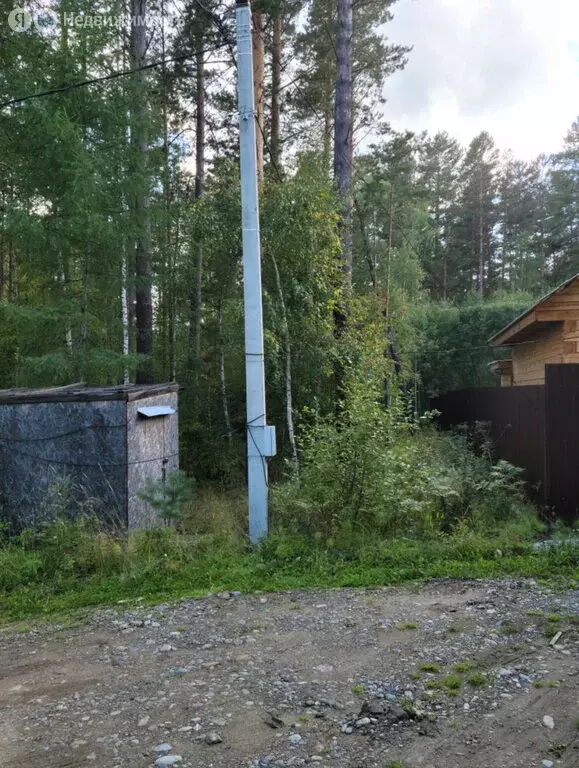 Участок в Новогрудинина, ДНТ Успех (15 м) - Фото 1