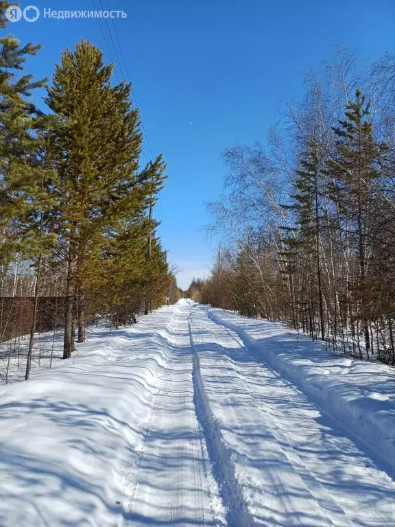 Участок в Якутск, Вилюйский тракт, 4-й километр (7 м) - Фото 0