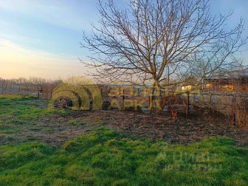 Участок в Краснодарский край, Абинский район, Ольгинское с/пос, ... - Фото 1