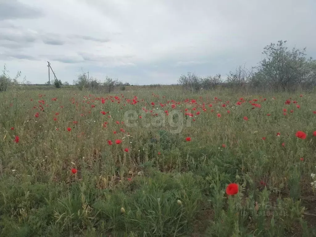 Участок в Крым, Ленинский район, Семисотское с/пос, с. Каменское ул. ... - Фото 0