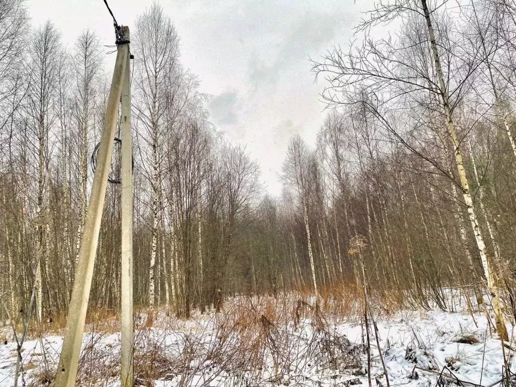 Участок в Костромская область, Костромской район, Середняковское ... - Фото 0