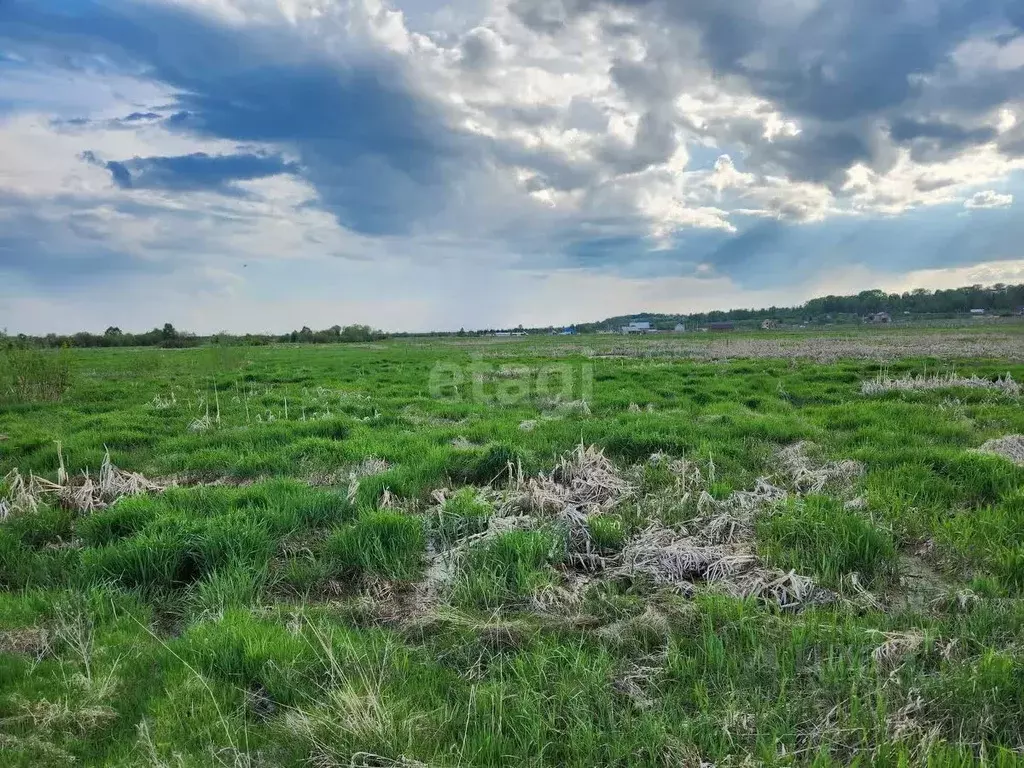 Участок в Коми, Сыктывдинский район, с. Выльгорт  (10.1 сот.) - Фото 2