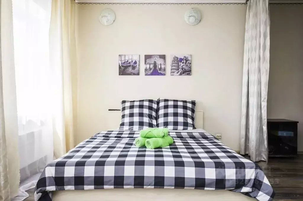 1-к кв. Московская область, Ногинск Богородский городской округ, ул. ... - Фото 1