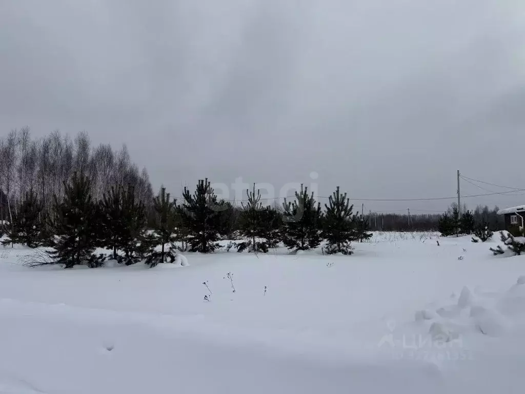 Участок в Костромская область, Кострома СНТ Надежда-97 тер., 31 (8.0 ... - Фото 1