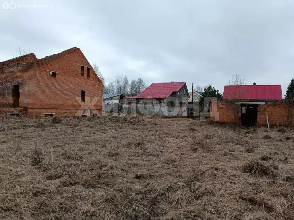 Участок в Томская область, Шегарское сельское поселение, село ... - Фото 1