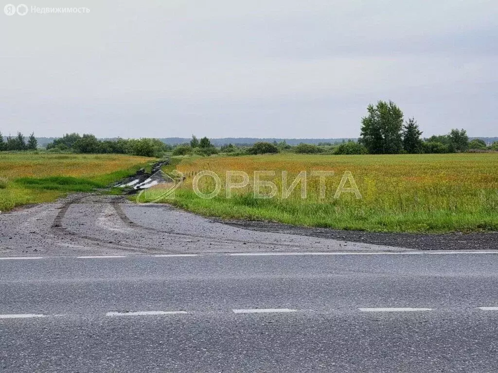Участок в Тюменский муниципальный округ, деревня Субботина (320 м) - Фото 2