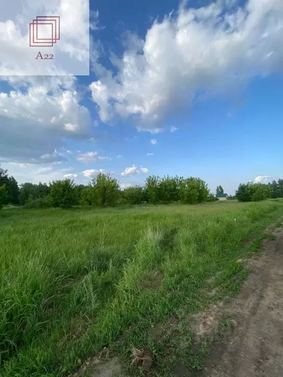 Участок в Алтайский край, Барнаул городской округ, пос. Бельмесево ул. ... - Фото 1