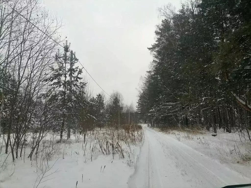 Участок в Судогодский район, муниципальное образование Лавровское, ... - Фото 0