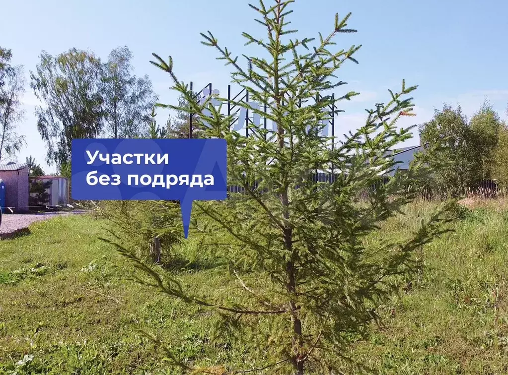 Участок 6,5 сот. (ИЖС) - Фото 0