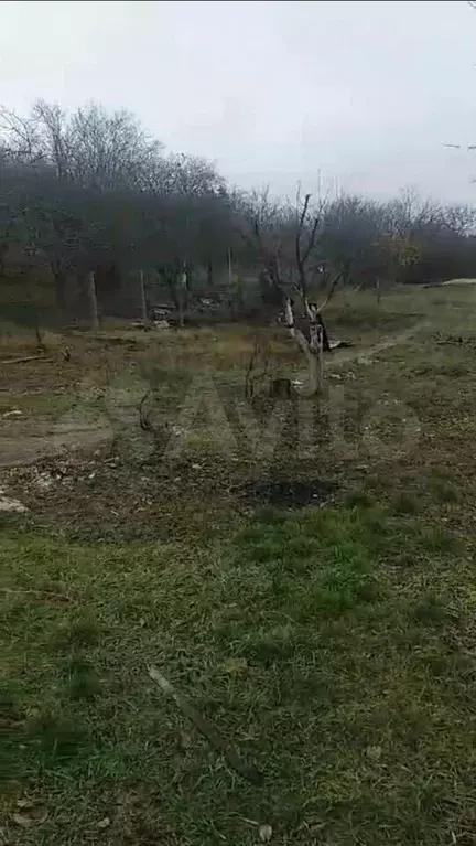 Участок 6 сот. (СНТ, ДНП) - Фото 0