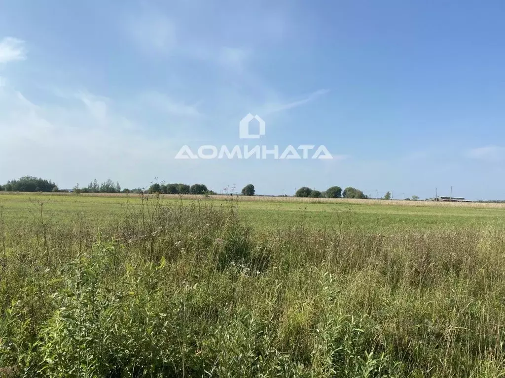 Участок в Ленинградская область, Кировский район, Путиловское с/пос, ... - Фото 1