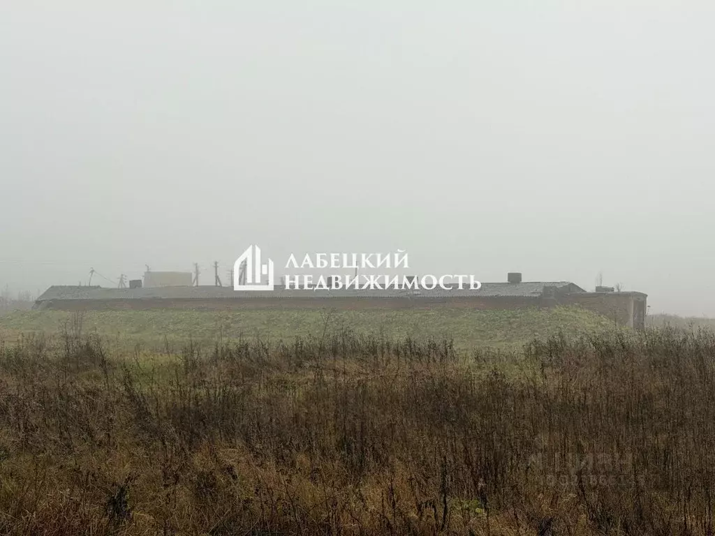 Помещение свободного назначения в Ленинградская область, Волосовский ... - Фото 1