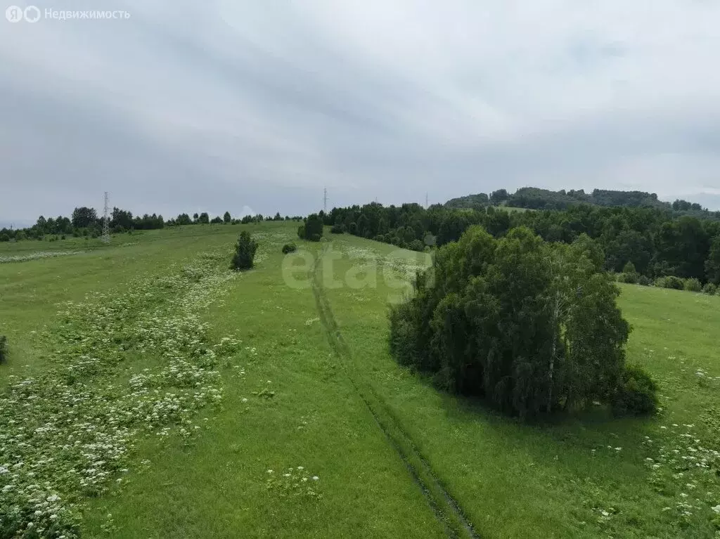 Участок в Майминский район, посёлок Карлушка (11.8 м) - Фото 1
