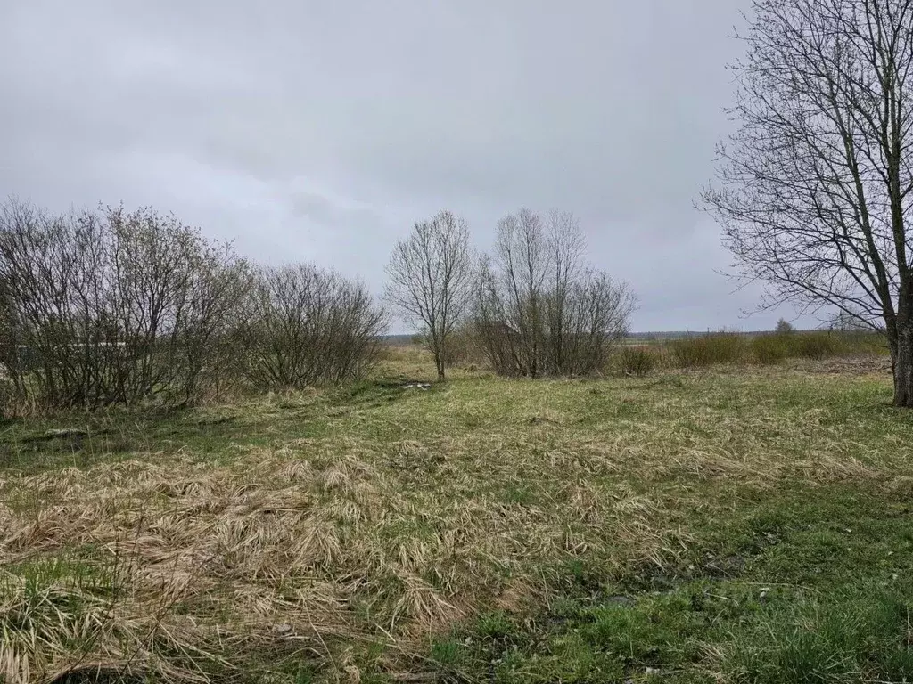 Участок в Ленинградская область, Лужский район, пос. Оредеж ул. ... - Фото 0