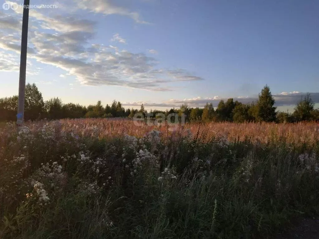 Участок в Томский район, деревня Петрово, Северная улица (13 м) - Фото 0