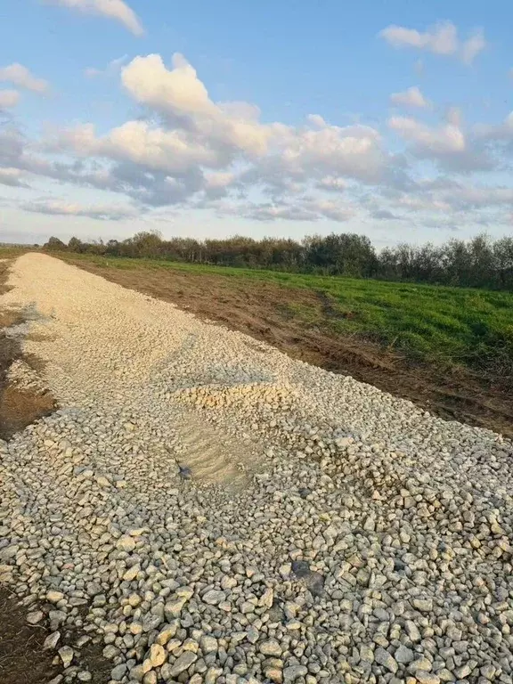 Участок в Ленинградская область, Кингисеппский район, Большелуцкое ... - Фото 2