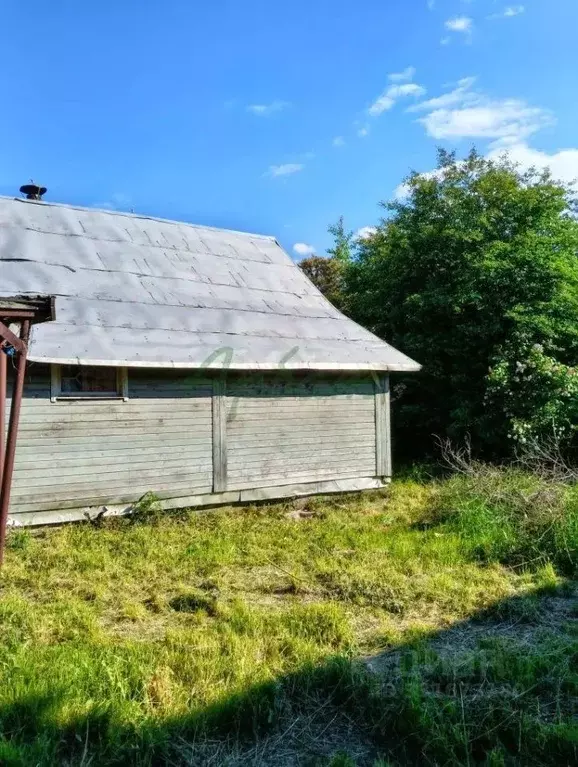 Участок в Тверская область, Калининский муниципальный округ, д. ... - Фото 2