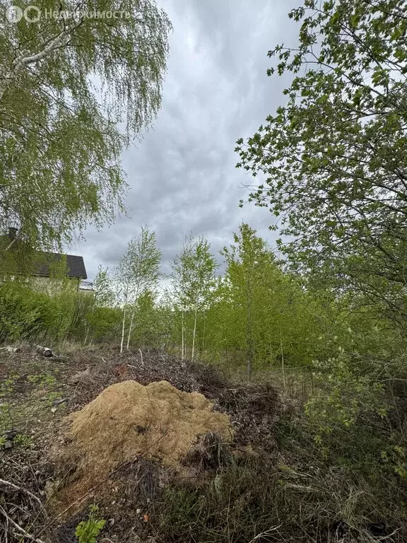 Участок в село Чернуха, улица Троицкого, 26 (15.24 м) - Фото 1