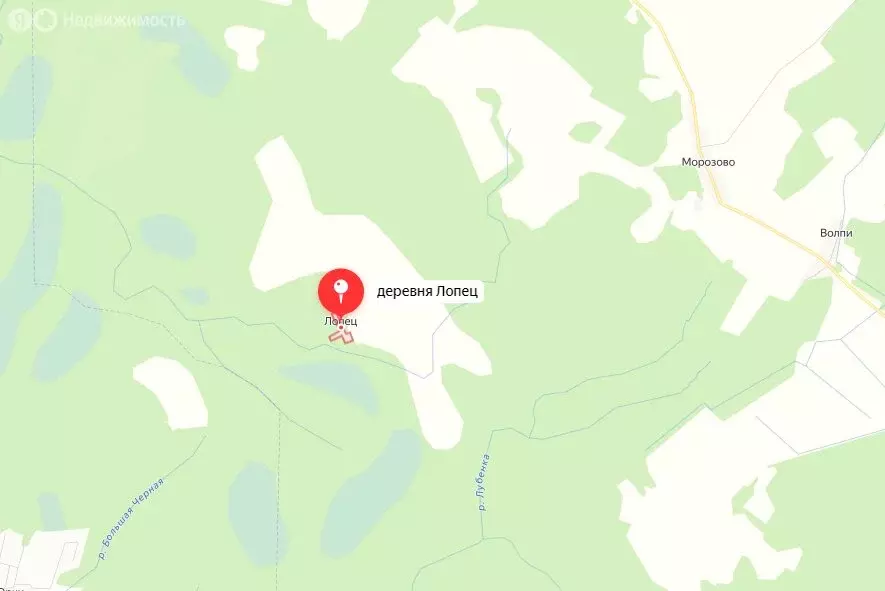 Участок в Волосовский район, Большеврудское сельское поселение, ... - Фото 2