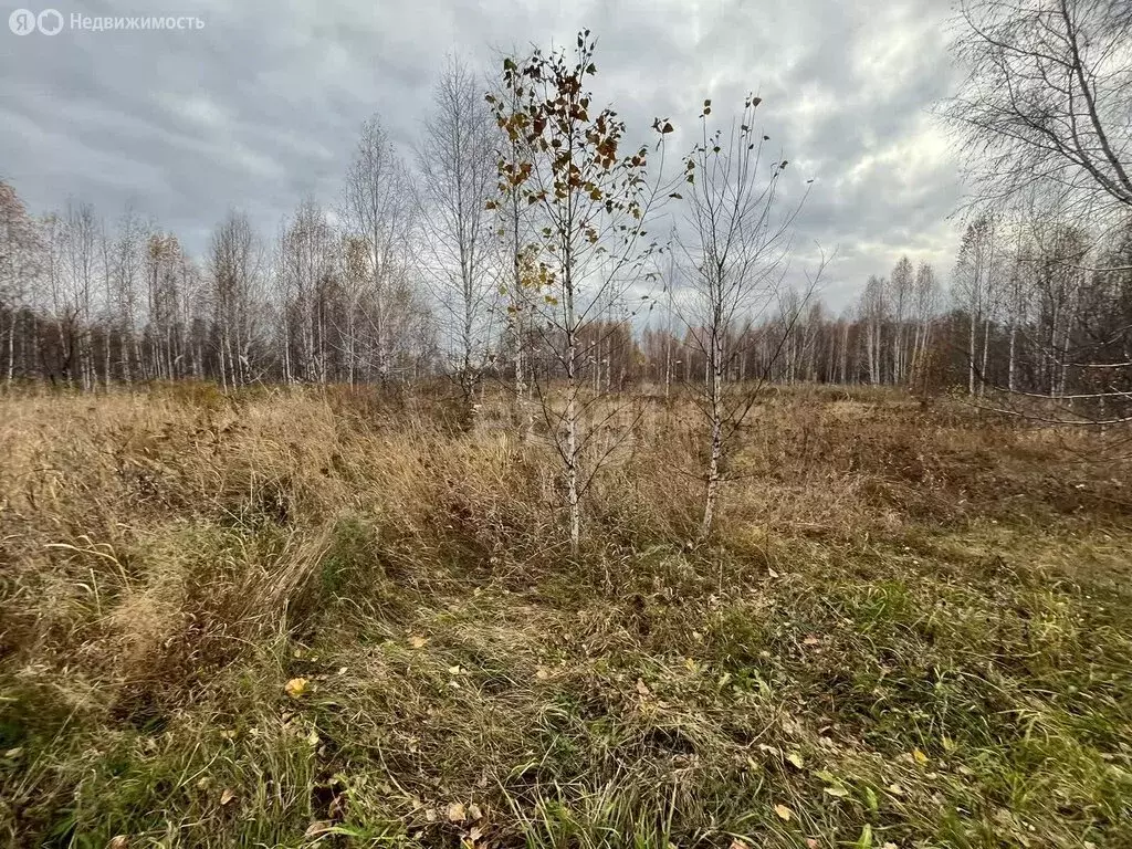 Участок в Плотниковский сельсовет, садоводческое некоммерческое ... - Фото 1