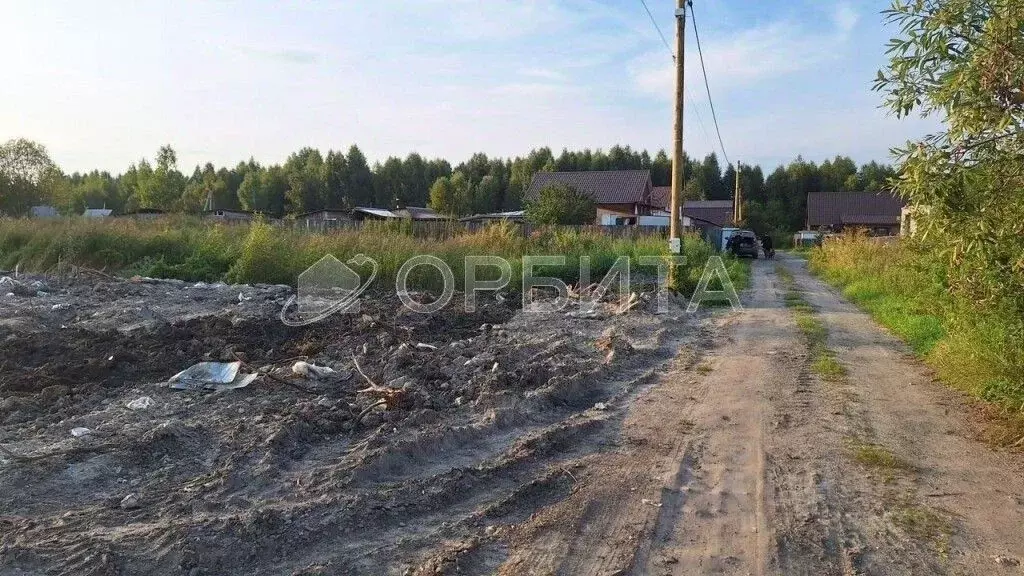 Участок в Тюменская область, Тюмень Садовое товарищество Липовый ... - Фото 1