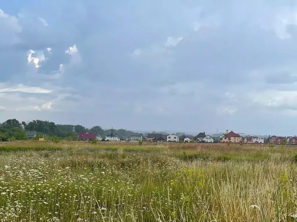 участок в курская область, курский район, новопоселеновский сельсовет, . - Фото 1