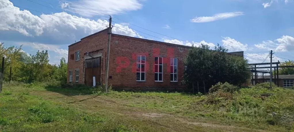 Производственное помещение в Пензенская область, с. Бессоновка ул. ... - Фото 2