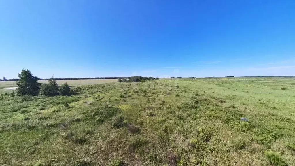 Участок в Тюменская область, Тюмень Ирбитский Тракт 3-й км от ... - Фото 1