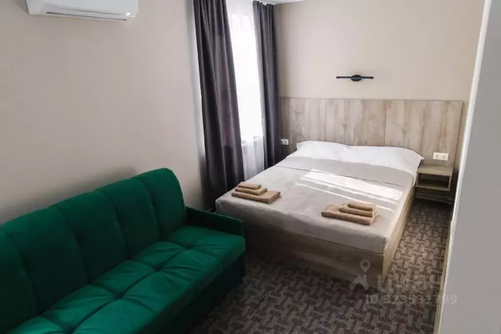 Комната Нижегородская область, Бор муниципальный округ, д. Воронино, ... - Фото 1