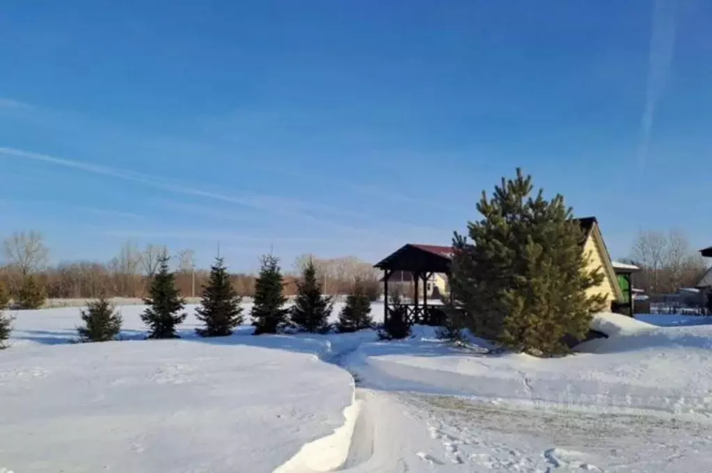 Дом в Кемеровская область, Крапивинский район, д. Шевели  (54 м) - Фото 2