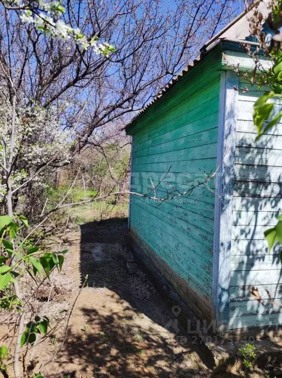 Дом в Волгоградская область, Волгоград Горчичник СНТ,  (25 м) - Фото 0