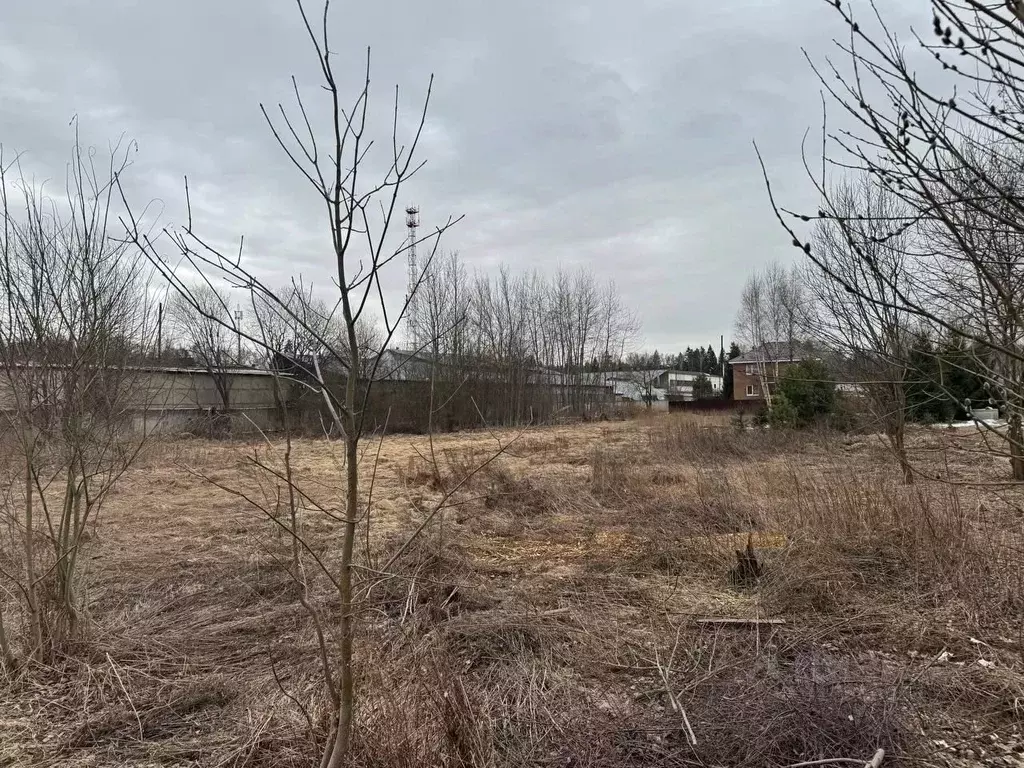 Участок в Московская область, Богородский городской округ, д. Молзино  ... - Фото 0