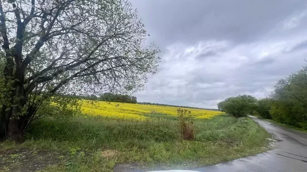 Участок в Калининградская область, Гурьевск (6 м) - Фото 1