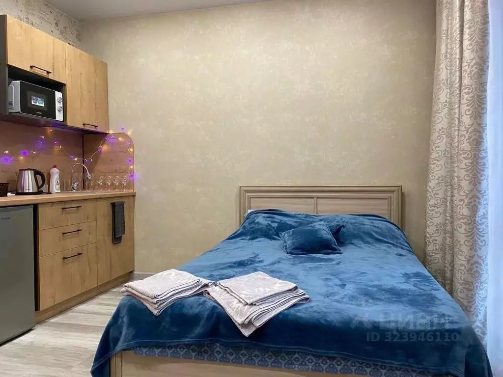 1-к кв. Алтайский край, Барнаул Партизанская ул., 203 (35.0 м) - Фото 1