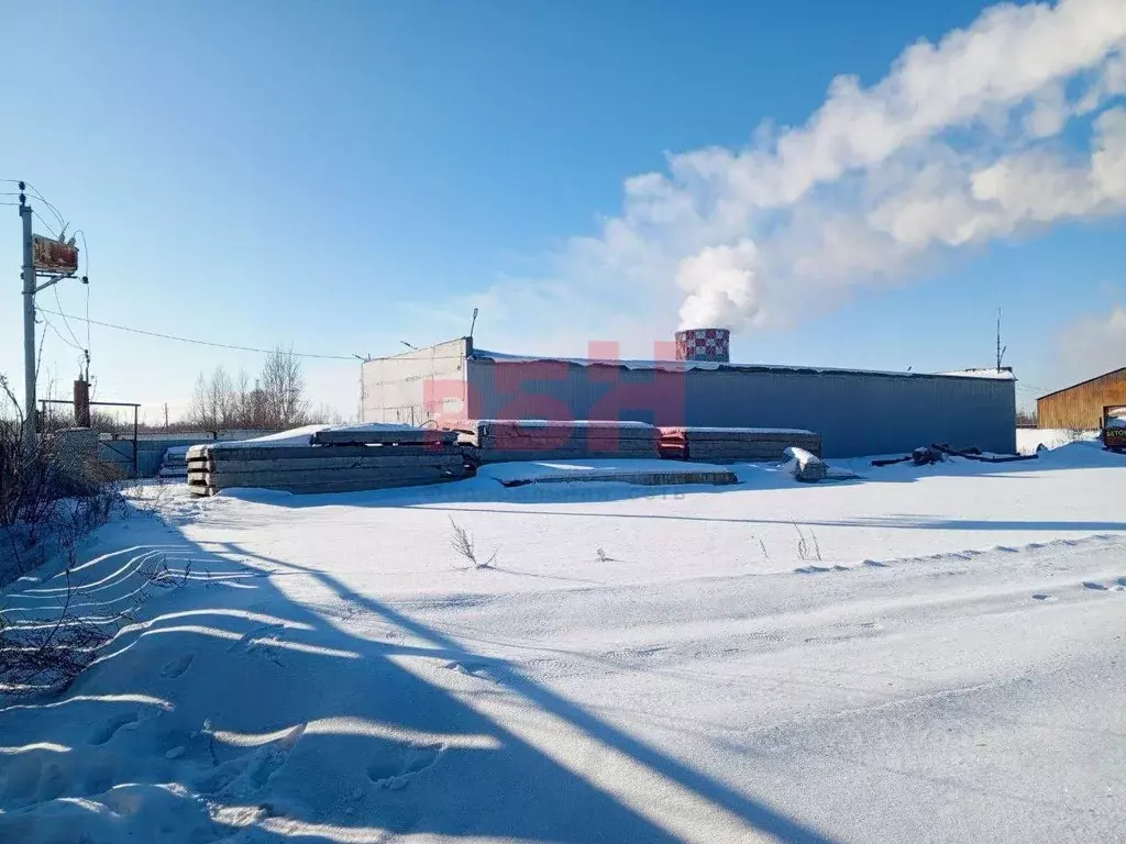 Помещение свободного назначения в Омская область, Омск ул. 10 лет ... - Фото 1