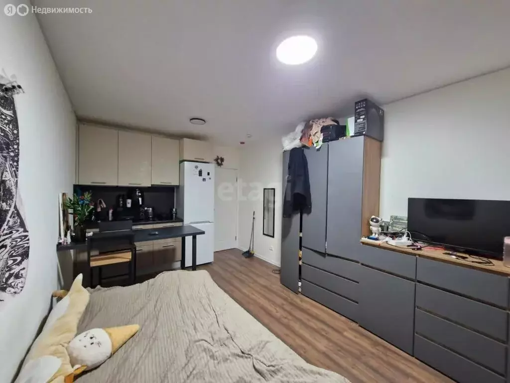 Квартира-студия: Санкт-Петербург, Пейзажная улица, 30 (20.6 м) - Фото 2