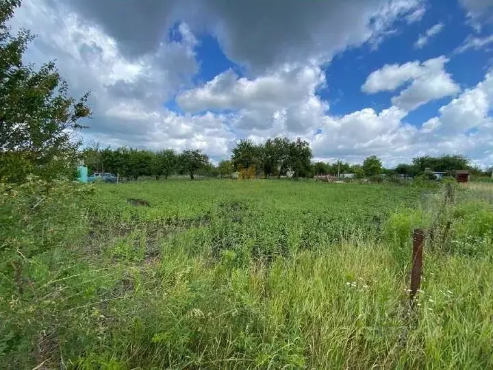 Участок в Белгородская область, Яковлевский муниципальный округ, с. ... - Фото 2