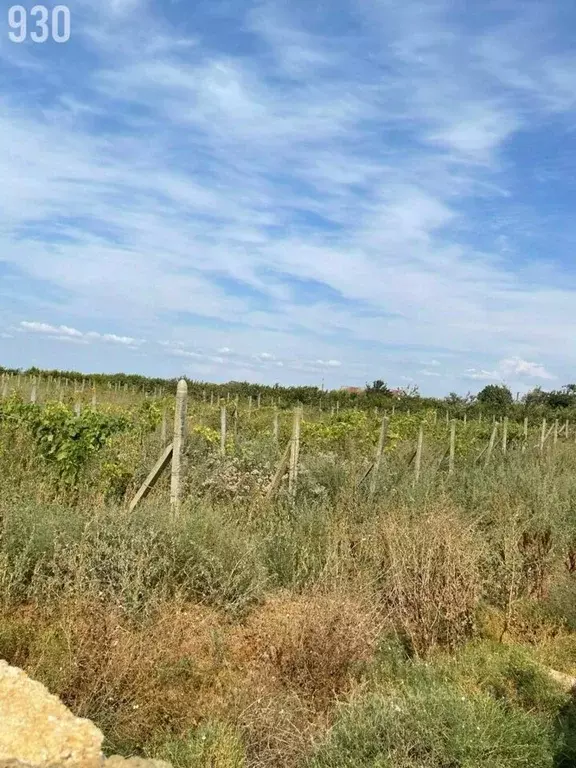 Участок в Крым, Сакский район, с. Добрушино ул. Урожайная, 2 (20.0 ... - Фото 2