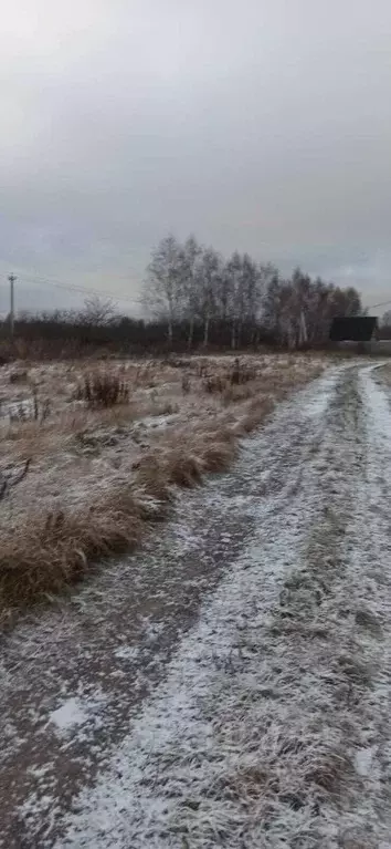 Участок в Московская область, Шатура муниципальный округ, пос. ... - Фото 1