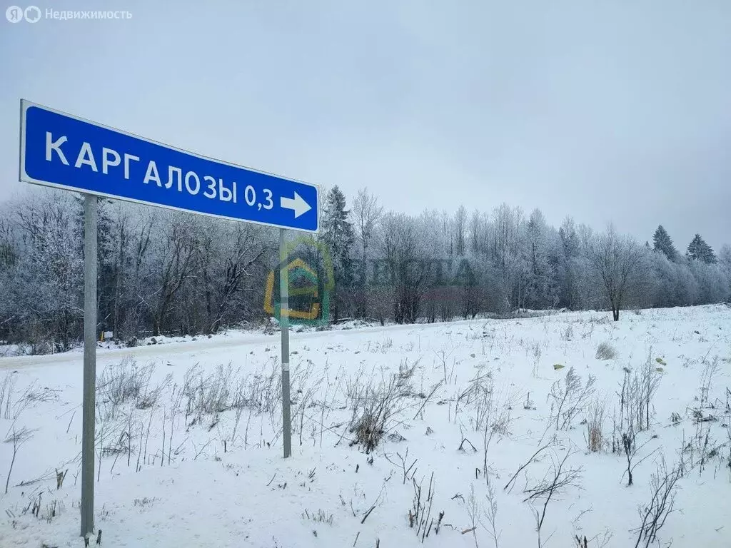 Участок в Волосовский район, Калитинское сельское поселение, деревня ... - Фото 0