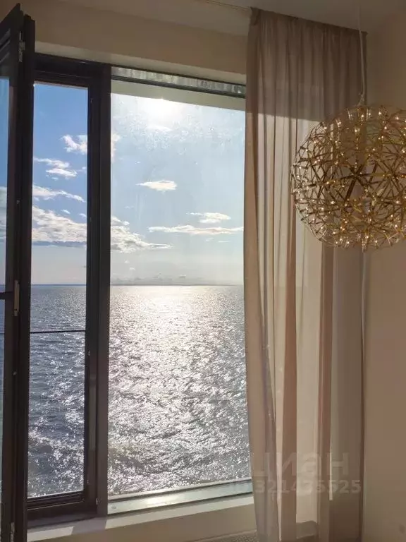 Студия Санкт-Петербург ул. Челюскина, 10 (43.0 м) - Фото 2