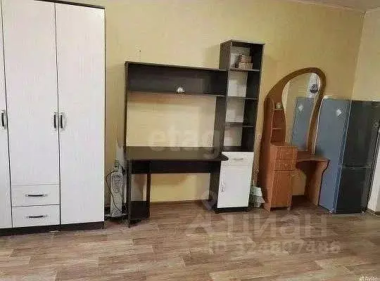 Студия Амурская область, Благовещенский район, с. Чигири Восточная ... - Фото 1