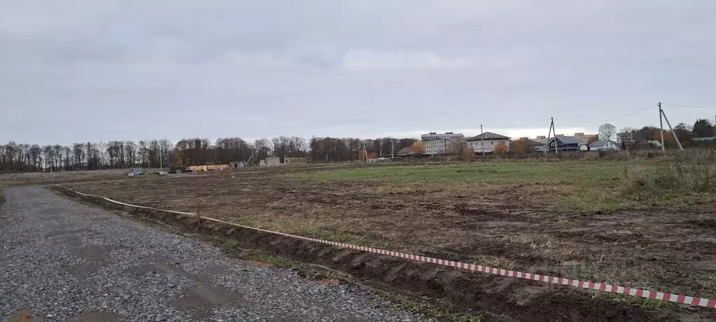 Участок в Ленинградская область, Ломоносовский район, Русско-Высоцкое ... - Фото 1