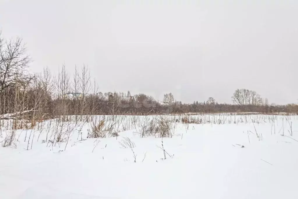 Участок в Новосибирская область, Искитимский район, пос. ... - Фото 1