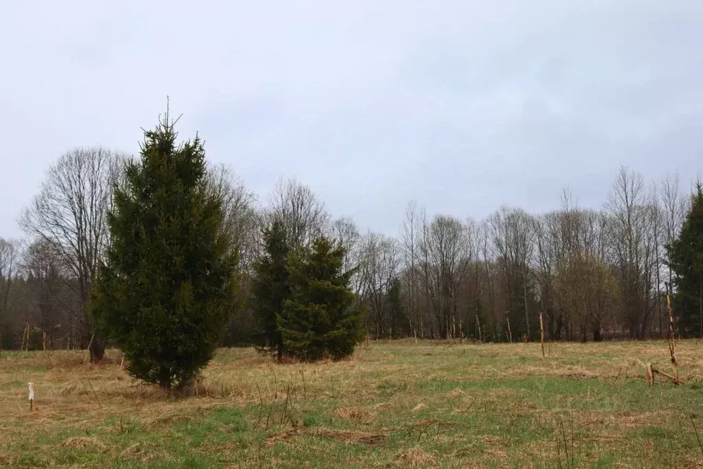 Участок в Ленинградская область, Ломоносовский район, Копорское с/пос, ... - Фото 1