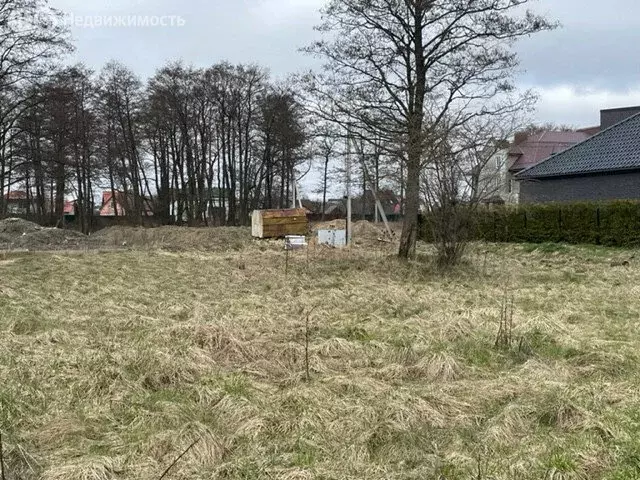 Участок в Калининградская область, Гурьевский муниципальный округ, ... - Фото 0